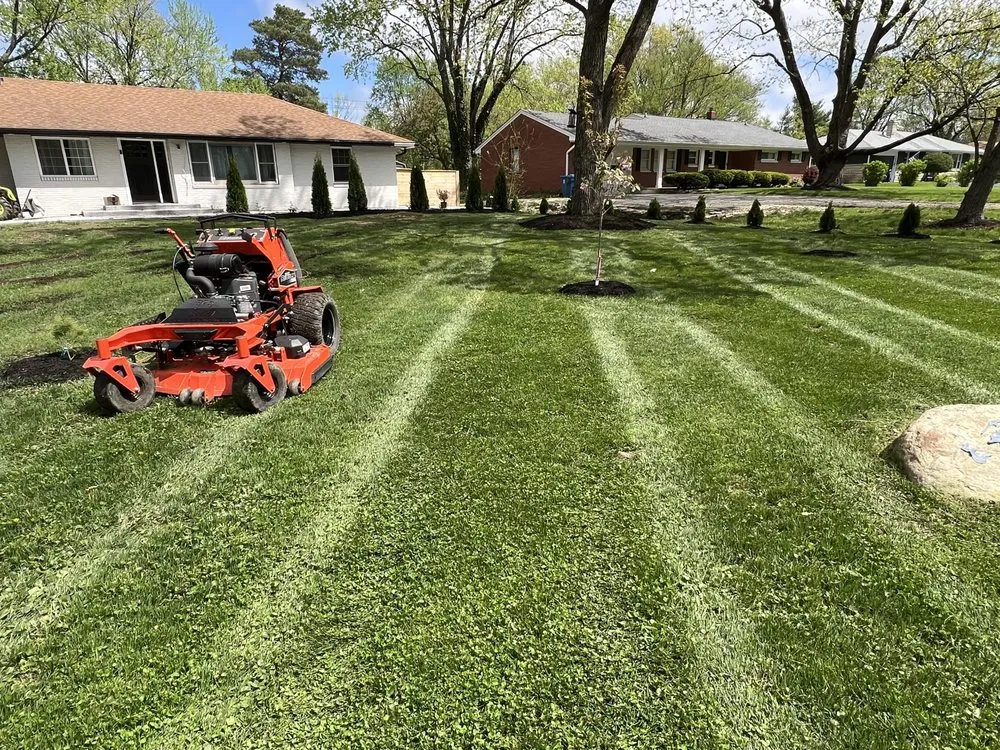 Trusted yard cleanup service in Indianapolis, IN - Franks Lawn Care