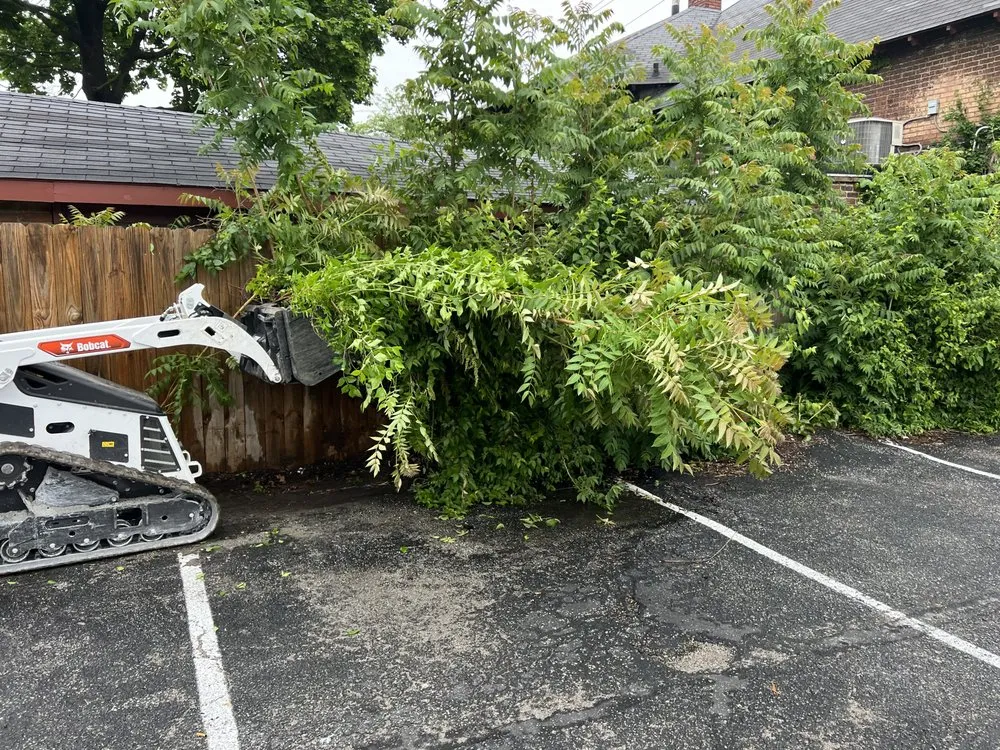 Reliable lawn care service experts serving Indianapolis, IN - Franks Lawn Care