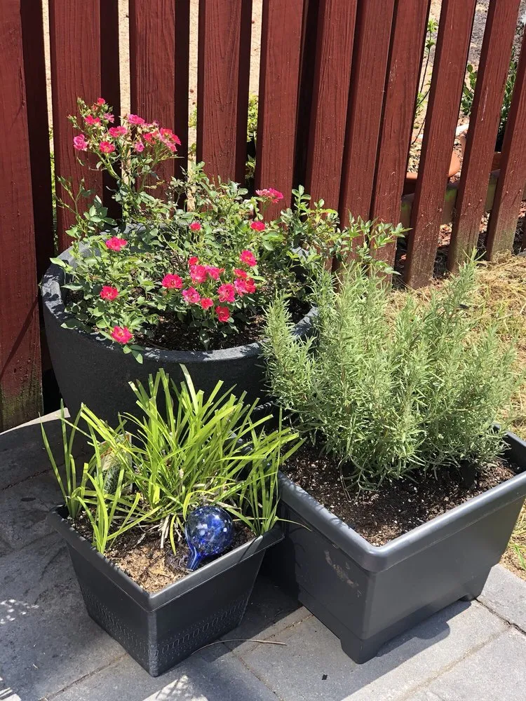 Top-rated landscape design in Oakton, VA by Frank's Lawn Care