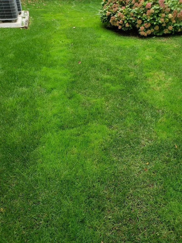 Custom landscape design experts serving Oakton, VA - Frank's Lawn Care