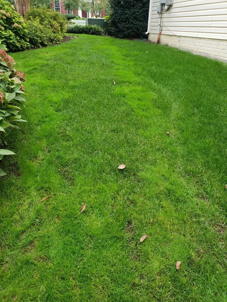 Trusted landscape design experts serving Oakton, VA - Frank's Lawn Care