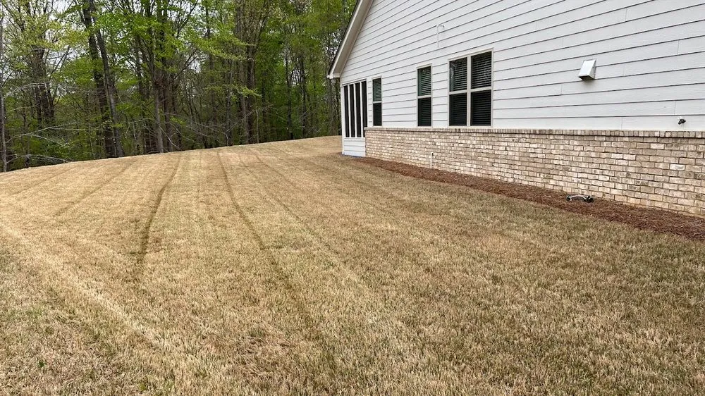 Professional landscape design for year-round maintenance in Buford, GA by Frank's Lawn Maintenance