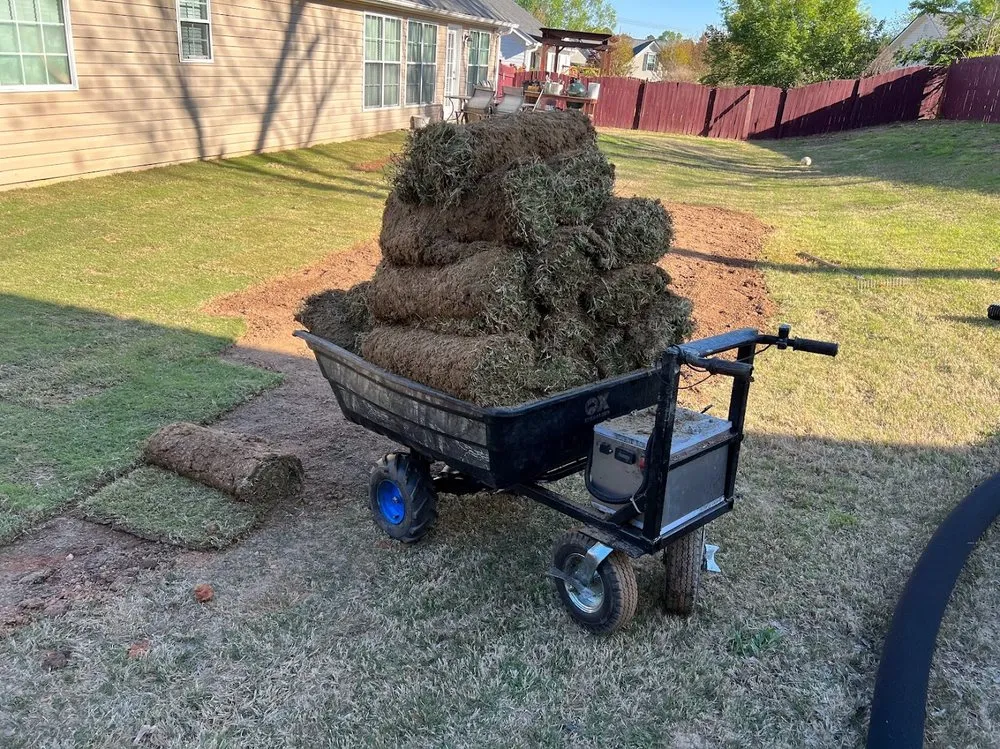 Affordable landscaping services for homes across Buford, GA - Frank's Lawn Maintenance