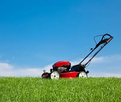 Professional garden landscaping for year-round maintenance in Buford, GA by Frank's Lawn Maintenance