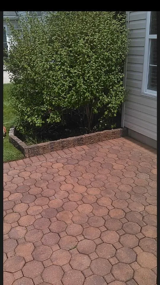 Expert yard maintenance experts serving Audubon, NJ - Frank's Lawn Service