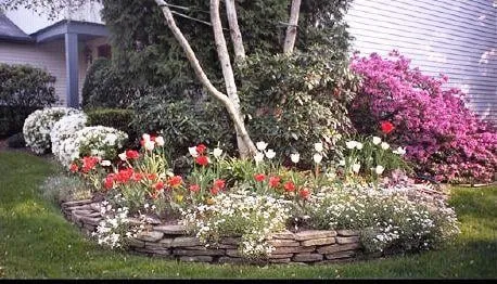 Top-rated lawn care service for outdoor upgrades across Audubon, NJ - Frank's Lawn Service