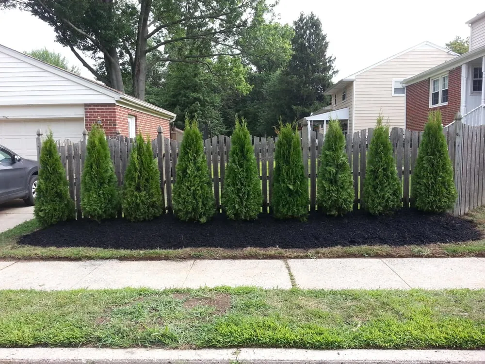 Professional yard maintenance in Audubon, NJ by Frank's Lawn Service
