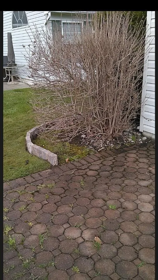 Affordable garden landscaping in Audubon, NJ by Frank's Lawn Service