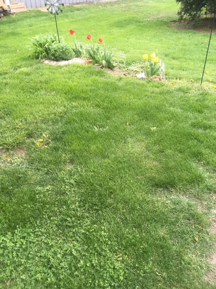 Reliable landscape installation for homes across BeaverDam, OH - Franks Lawn Service