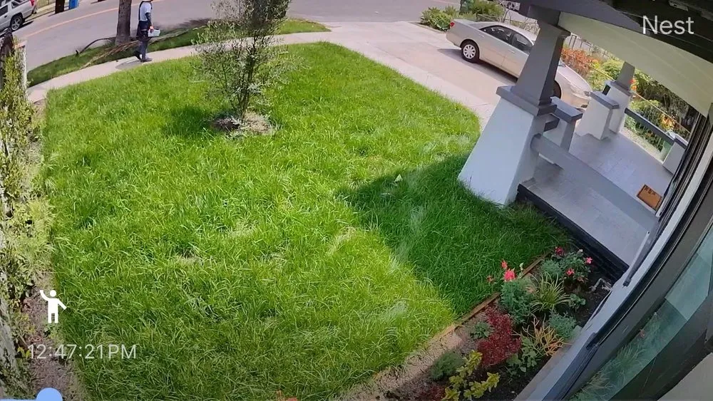 Affordable yard cleanup service in Los Angeles, CA - Frank’s lawn services and maintenance