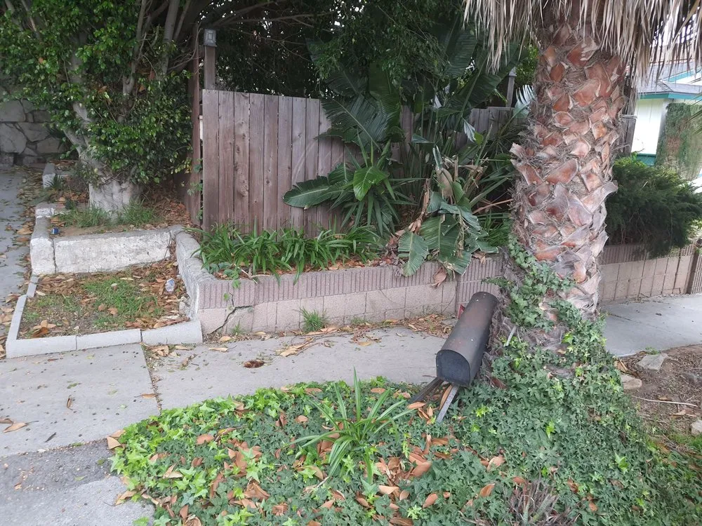 Local garden landscaping for outdoor upgrades across Los Angeles, CA - Frank’s lawn services and maintenance