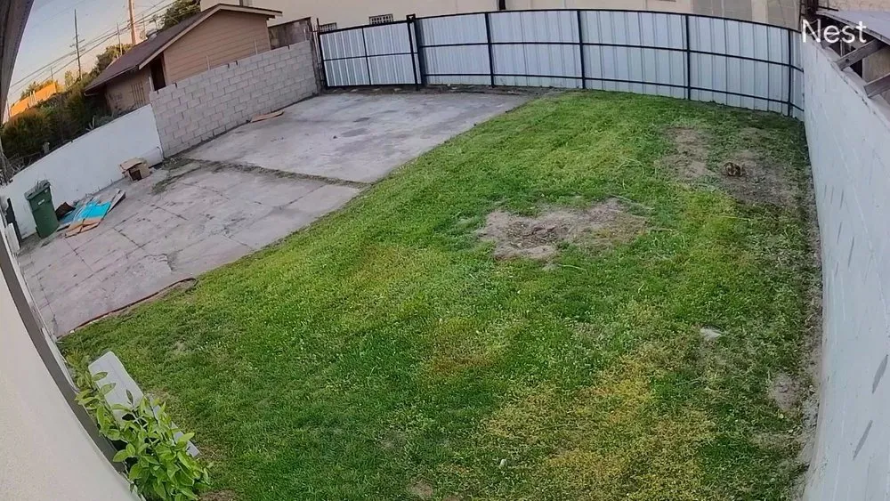 Reliable yard maintenance experts serving Los Angeles, CA - Frank’s lawn services and maintenance