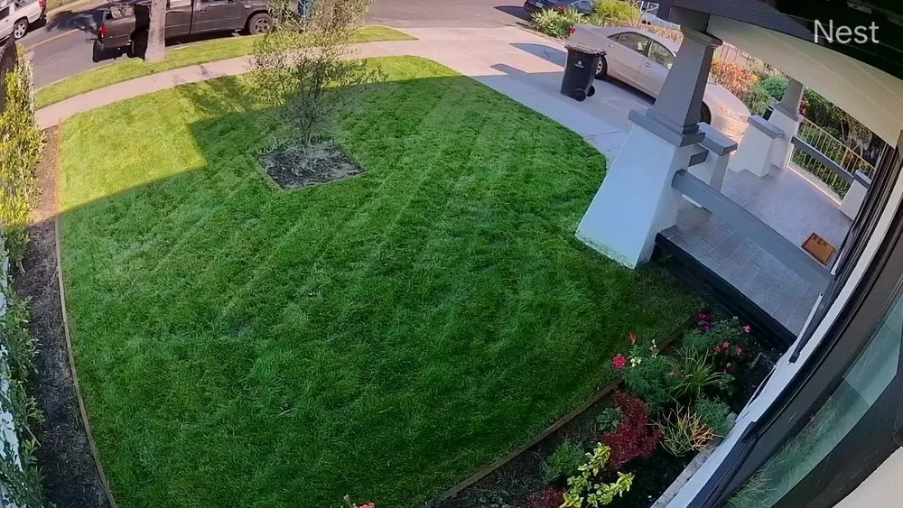 Professional yard maintenance in Los Angeles, CA by Frank’s lawn services and maintenance