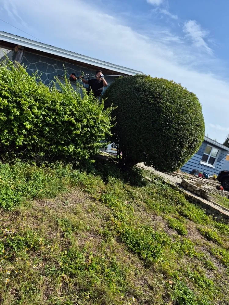 Reliable residential landscaping for homes across Dade City, FL - Frank's Lawn Solutions