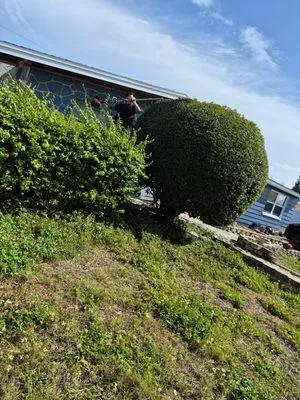 Frank's Lawn Solutions Logo