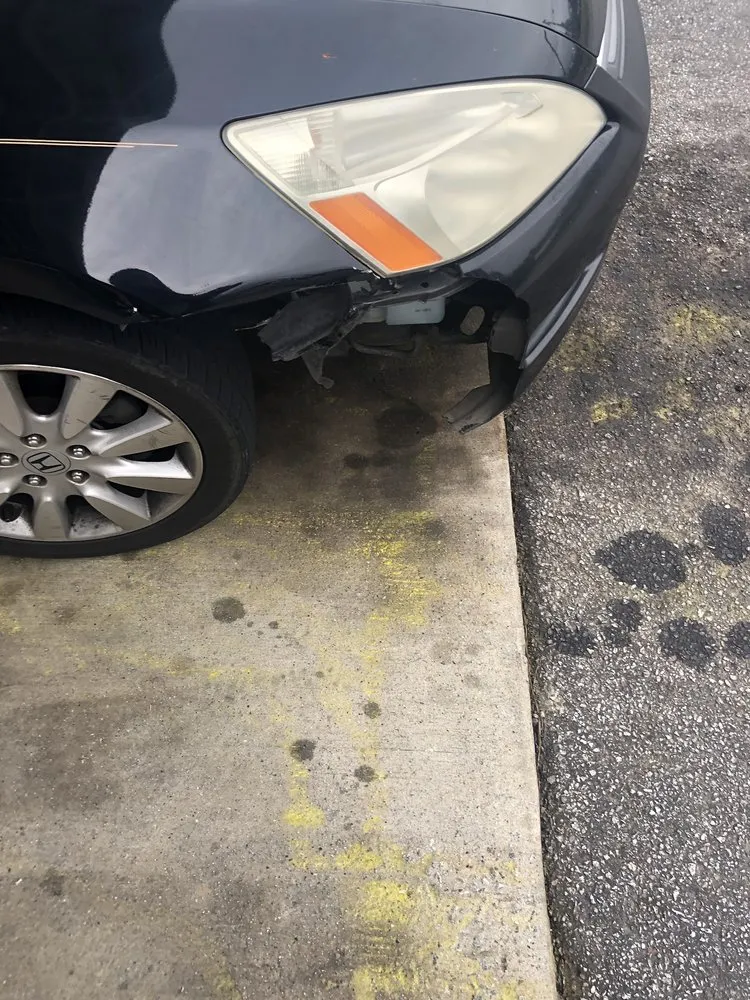 Custom yard cleanup service in Hampton, GA - Franks Services