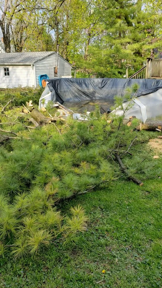 Affordable yard cleanup service in Indianapolis, IN - Franks Tree & Landscape