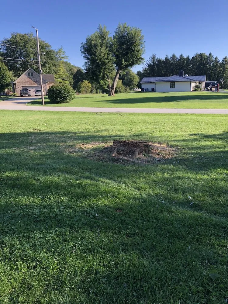 Expert landscape design for outdoor upgrades across Indianapolis, IN - Franks Tree & Landscape