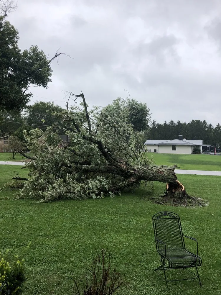 Custom landscaping services for residential properties in Indianapolis, IN by Franks Tree & Landscape