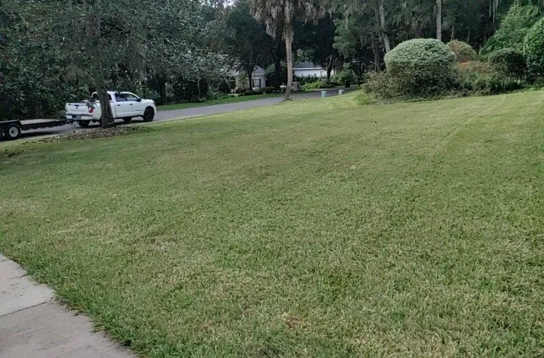 Professional outdoor landscaping for year-round maintenance in Ocala, FL by Franks Unlimited Landscaping