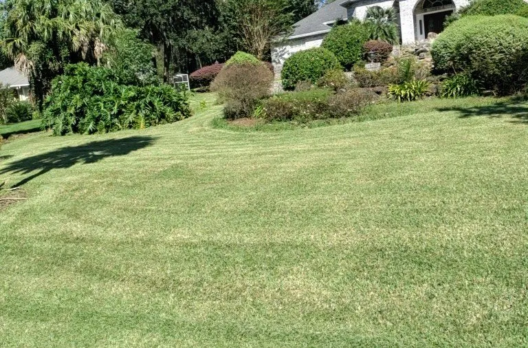 Trusted residential landscaping for outdoor upgrades across Ocala, FL - Franks Unlimited Landscaping