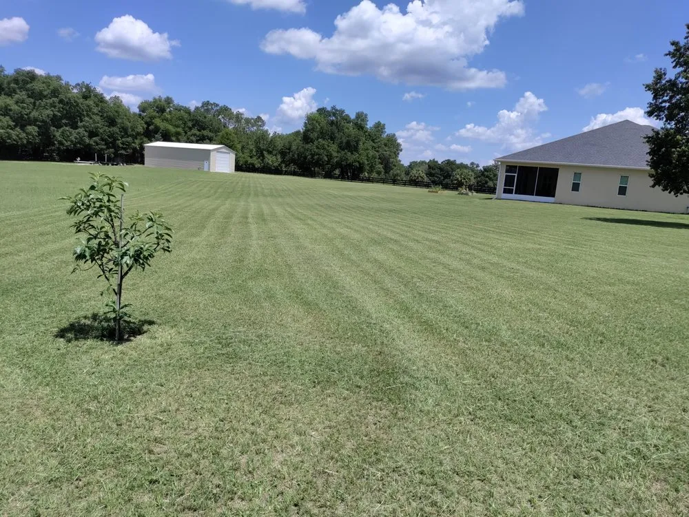 Custom yard maintenance in Ocala, FL by Franks Unlimited Landscaping