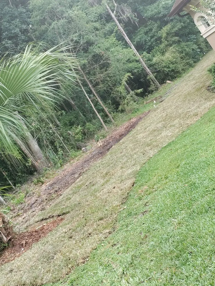 Trusted outdoor landscaping experts serving Ocala, FL - Franks Unlimited Landscaping