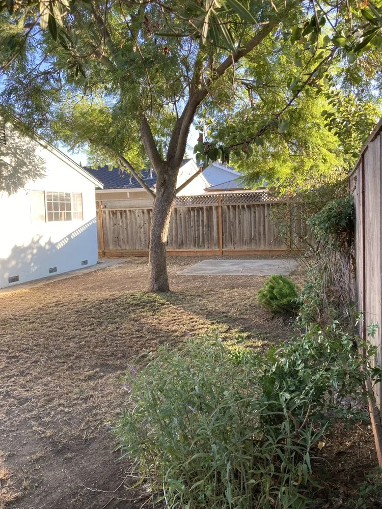 Professional lawn mowing service for homes in San Jose, CA by Frank's Yard Clean-Up