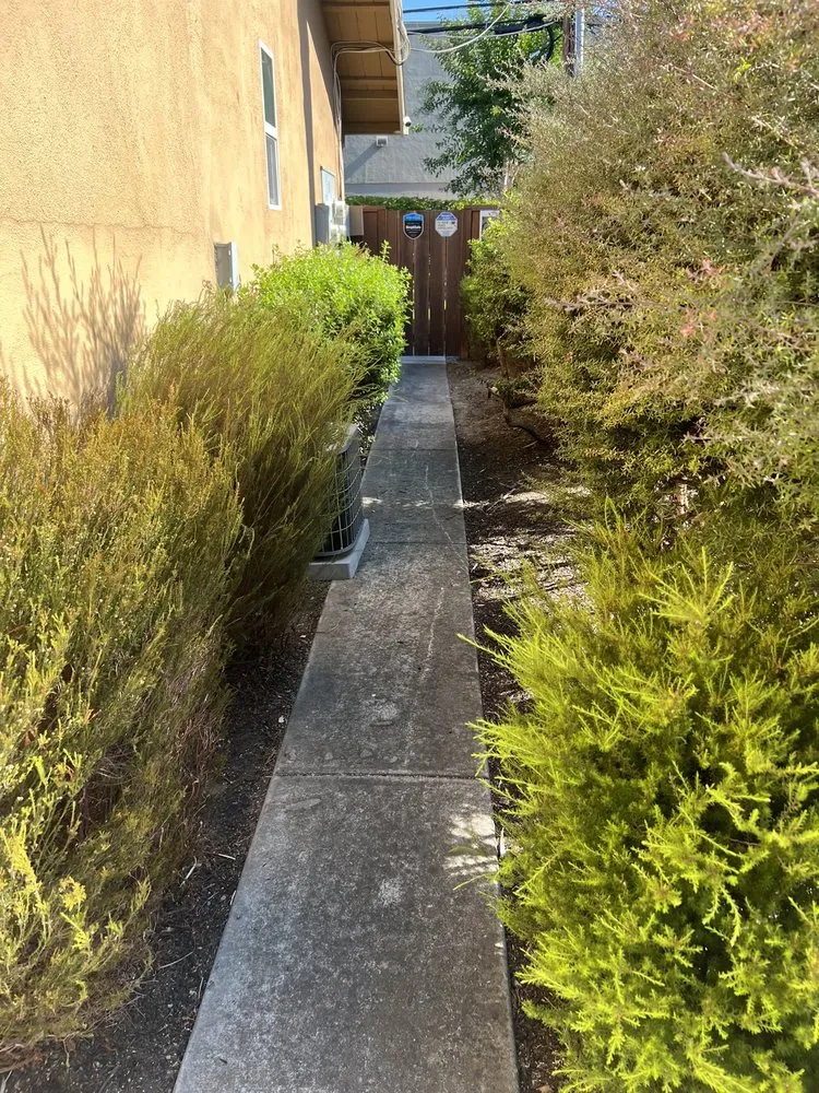Expert landscape design in San Jose, CA by Frank's Yard Clean-Up