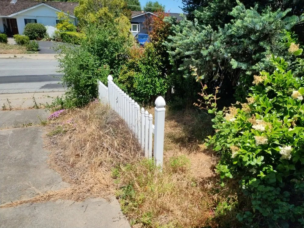 Top-rated lawn care service in San Jose, CA - Frank's Yard Clean-Up