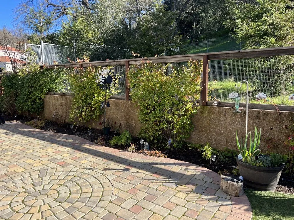 Professional lawn mowing service in San Jose, CA - Frank's Yard Clean-Up