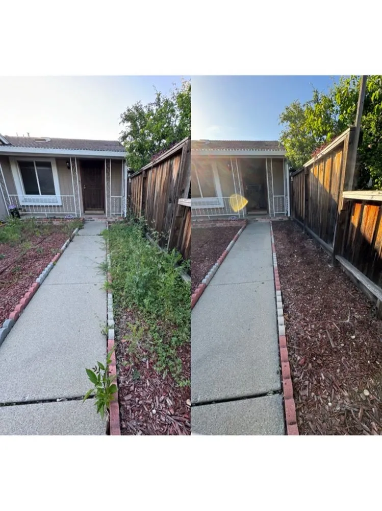 Professional lawn care service in San Jose, CA - Frank's Yard Clean-Up