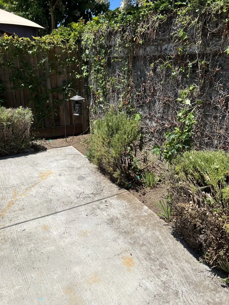 Professional residential landscaping for outdoor upgrades across San Jose, CA - Frank's Yard Clean-Up