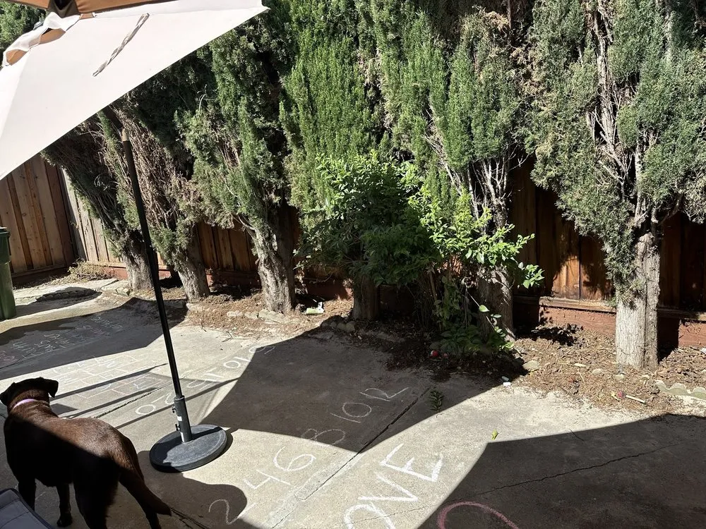 Top-rated garden landscaping in San Jose, CA - Frank's Yard Clean-Up