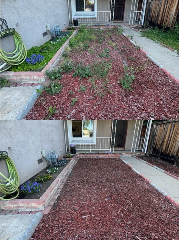 Trusted landscape design in San Jose, CA by Frank's Yard Clean-Up