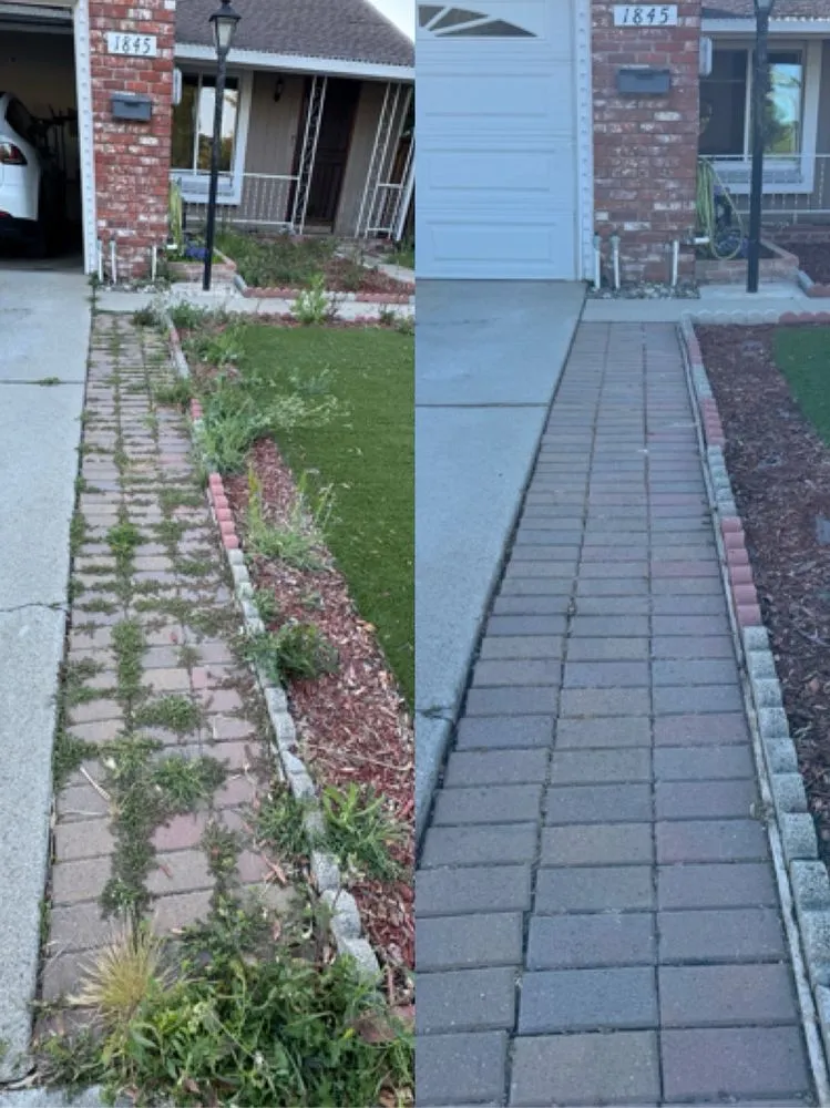 Affordable lawn mowing service experts serving San Jose, CA - Frank's Yard Clean-Up