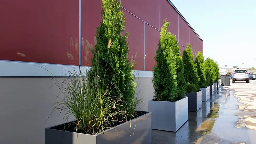 Affordable landscape installation in Louisville, KY by Fransen Group