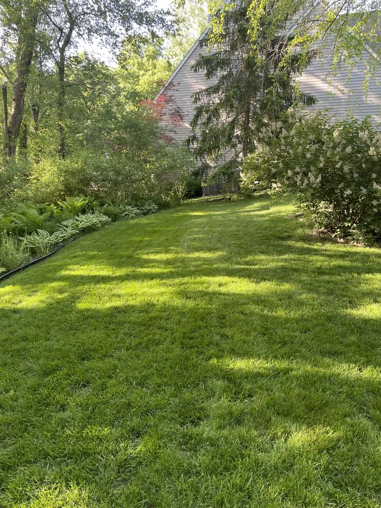 Professional lawn care service experts serving North Liberty, IA - Frantz Services