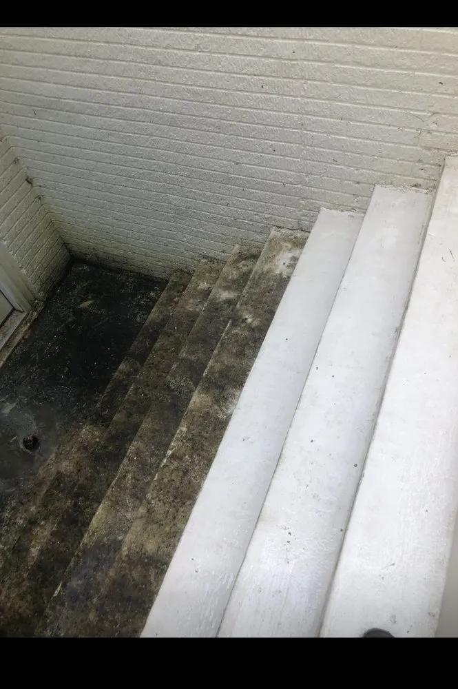 Top-rated outdoor landscaping experts serving Annapolis, MD - Franz Contracting