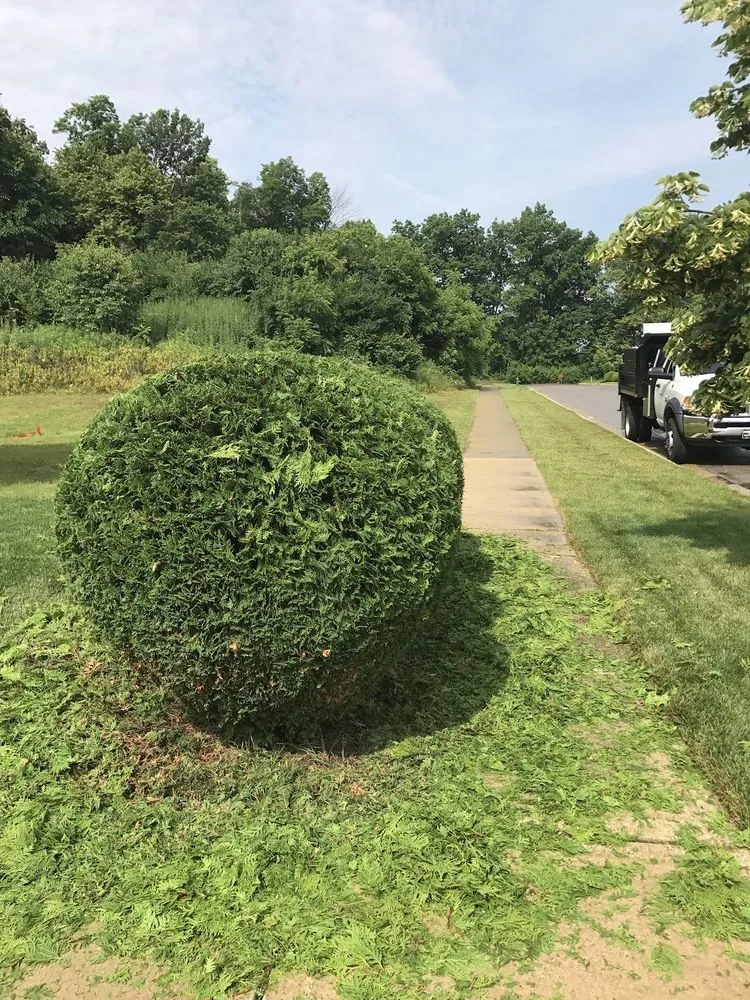 Professional yard maintenance in Dublin, OH - Franz Landscaping