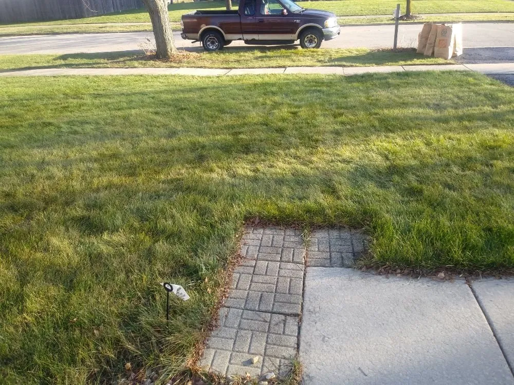 Professional yard cleanup service near you in Joliet, IL by Franz Landscaping Services