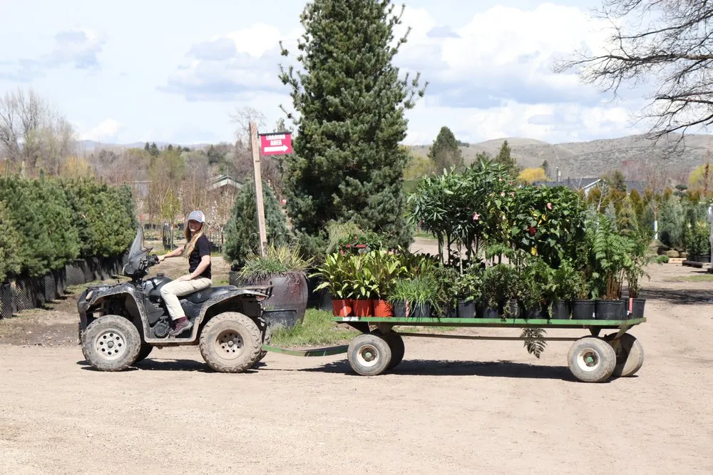 Local lawn mowing service experts serving Nampa, ID - Franz Witte