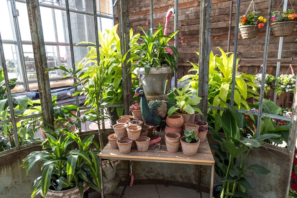 Local outdoor landscaping for homes across Nampa, ID - Franz Witte