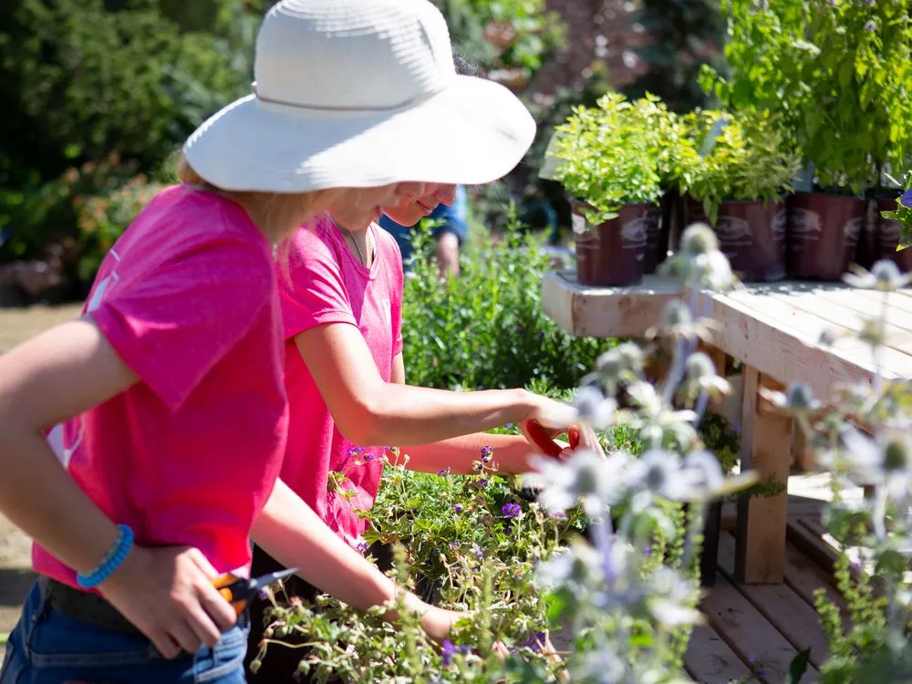 Trusted lawn care service in Nampa, ID by Franz Witte
