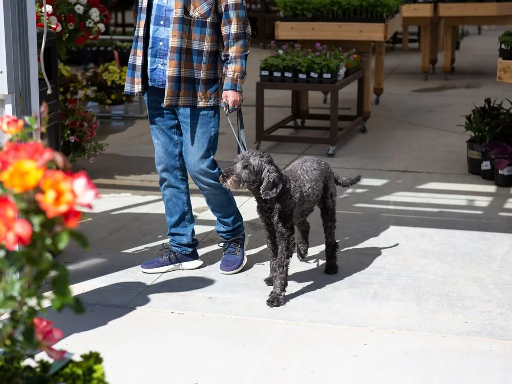 Professional landscape design in Nampa, ID by Franz Witte