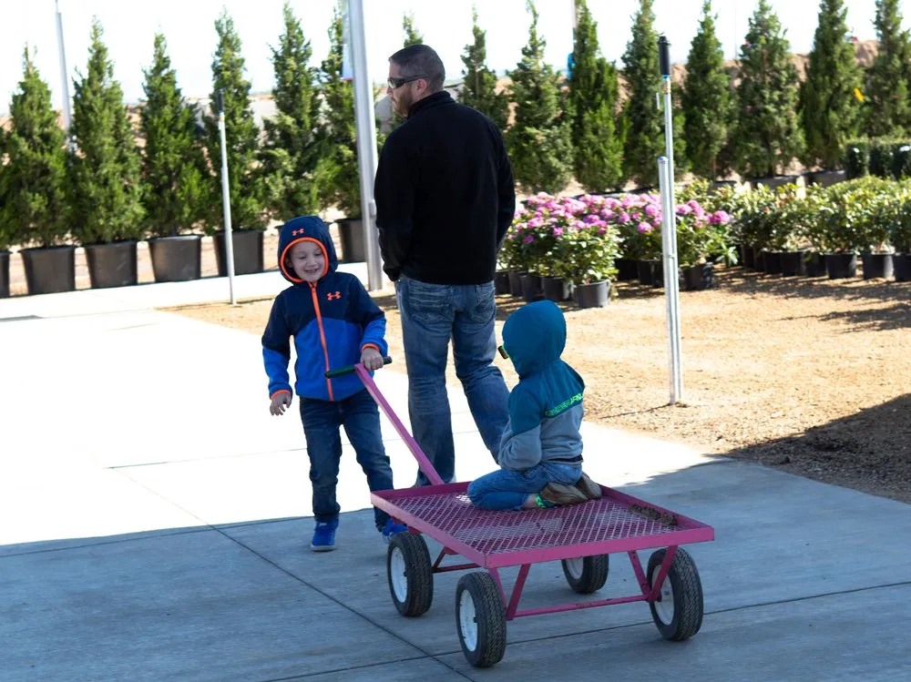 Top-rated lawn care service experts serving Nampa, ID - Franz Witte