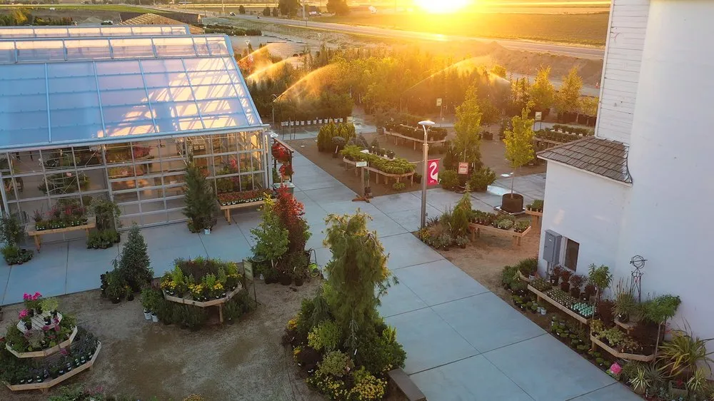 Trusted lawn care service experts serving Nampa, ID - Franz Witte