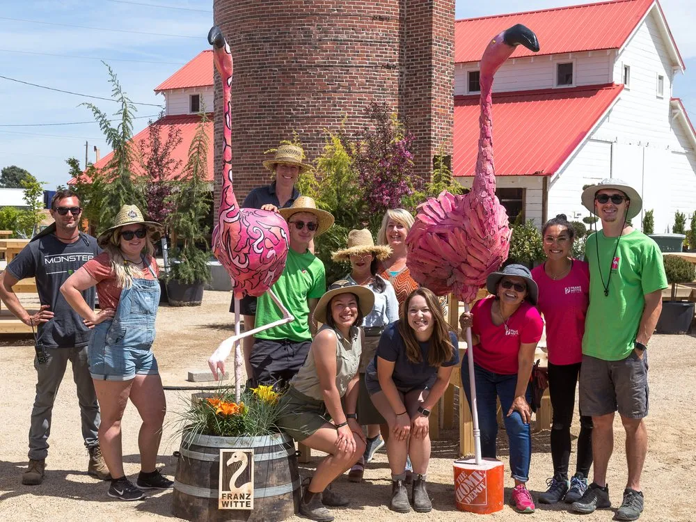 Reliable yard cleanup service in Nampa, ID - Franz Witte