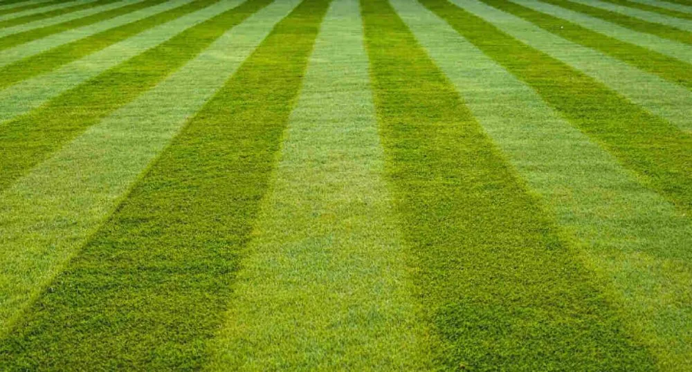 Top-rated residential landscaping experts serving Pontiac, IL - Franzo's Lawn Care Service