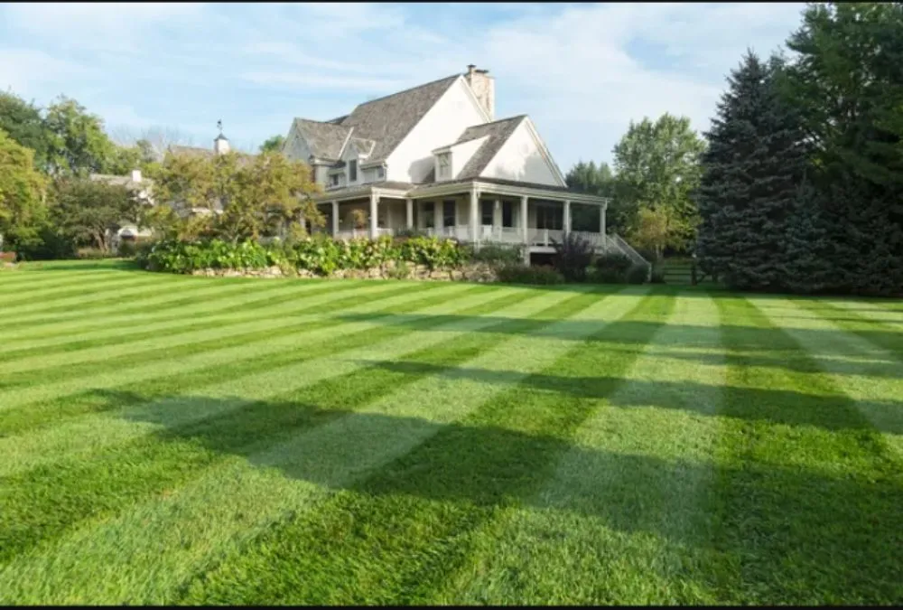 Professional landscape installation in Pontiac, IL by Franzo's Lawn Care Service